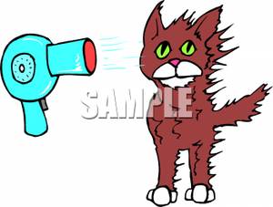 300x227 Images Boy Fixing Hair Clipart