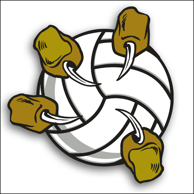 761x761 Flaming Volleyball Clipart