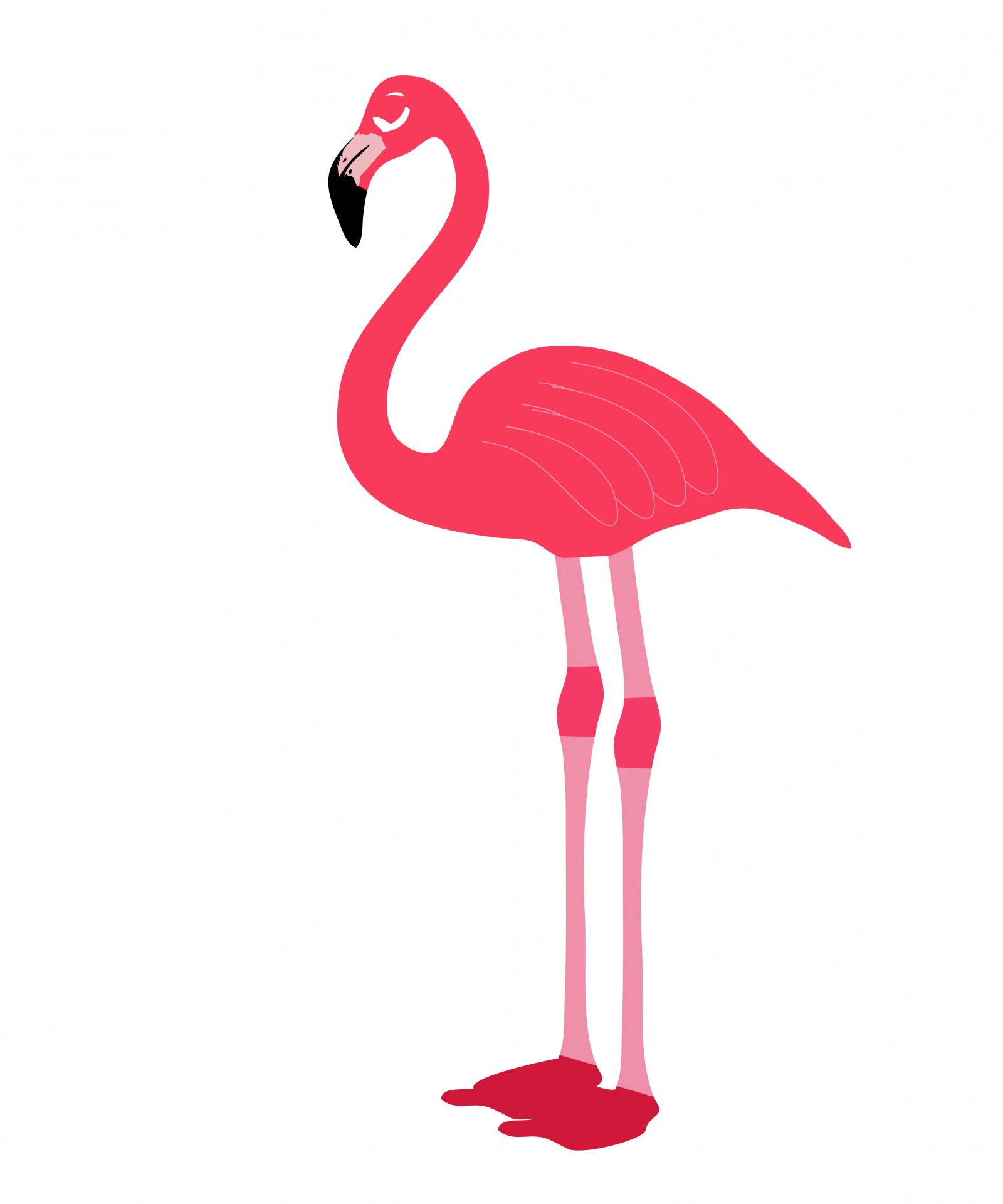 1600x1920 Flamingo Cartoon Clipart