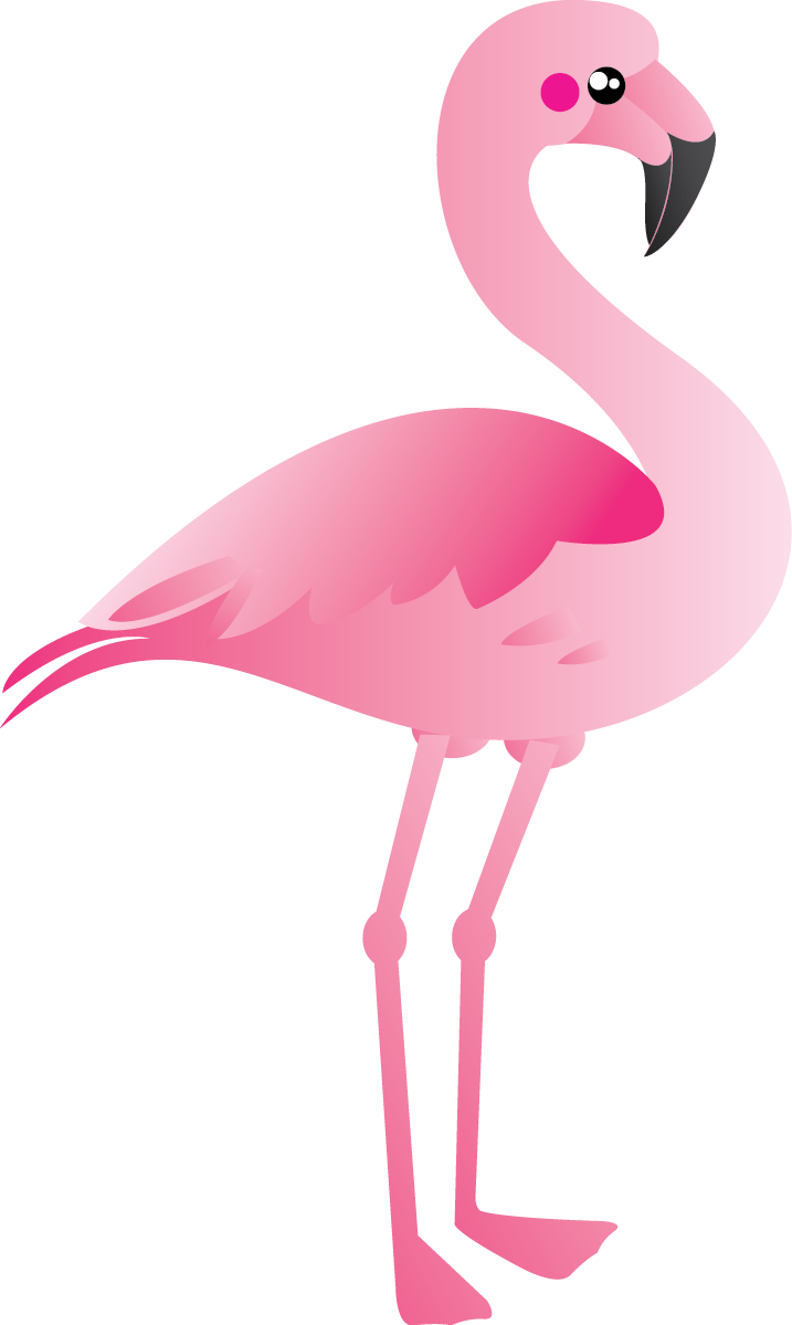 717x1199 Free To Use Amp Public Domain Flamingo Clip Art