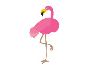 340x270 Top 84 Flamingo Clipart