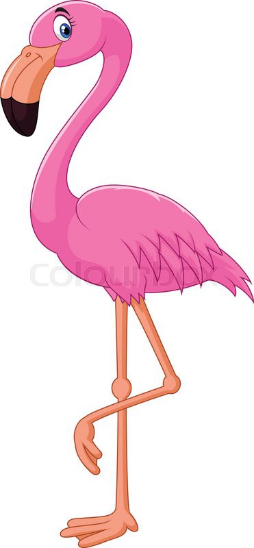 371x800 Vector Illustration Of Cartoon Flamingo Bird Stock Vector