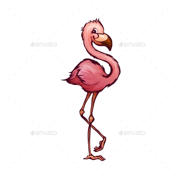 590x590 Cartoon Flamingo Flamingo And Cartoon