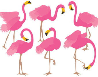 340x270 Flamingo Clipart Digital Vector Bird Exotic Pink
