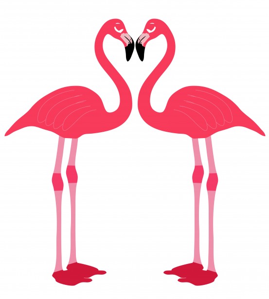 553x615 Love Clipart Flamingo