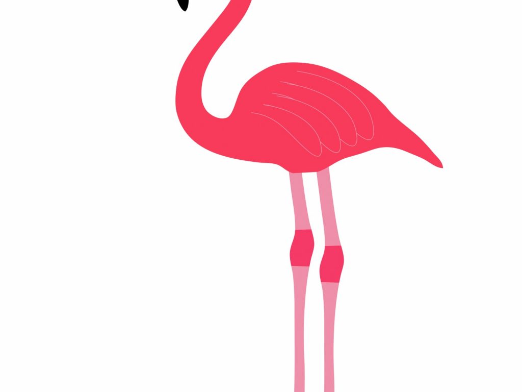 1024x768 Projects Ideas Flamingo Clip Art Pink Bird Clipart Free Stock