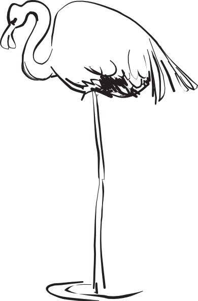 390x592 Flamingo Outline Art Clip Art