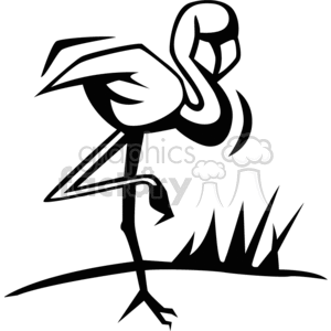 300x300 Royalty Free Black And White Image Of Flamingo Standing On One Leg