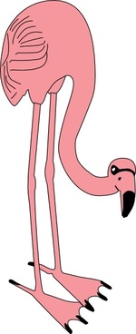 150x368 Flamingo Vectors Free Vector Download (19 Free Vector)
