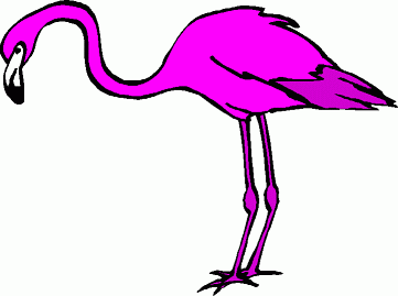 361x269 Top 80 Flamingo Clipart