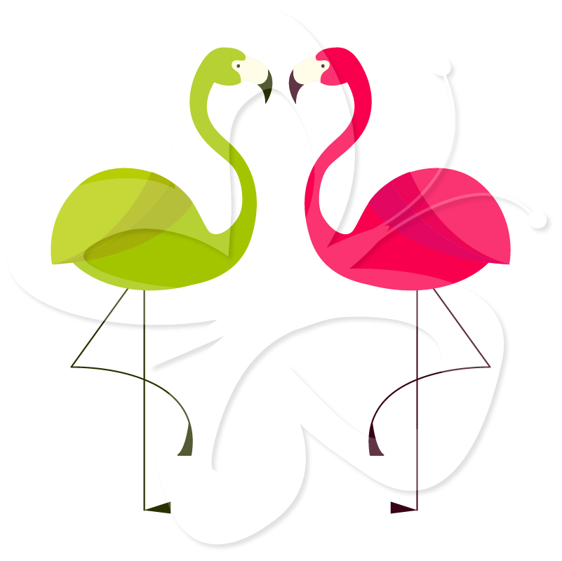 801x800 Top 85 Flamingo Clipart