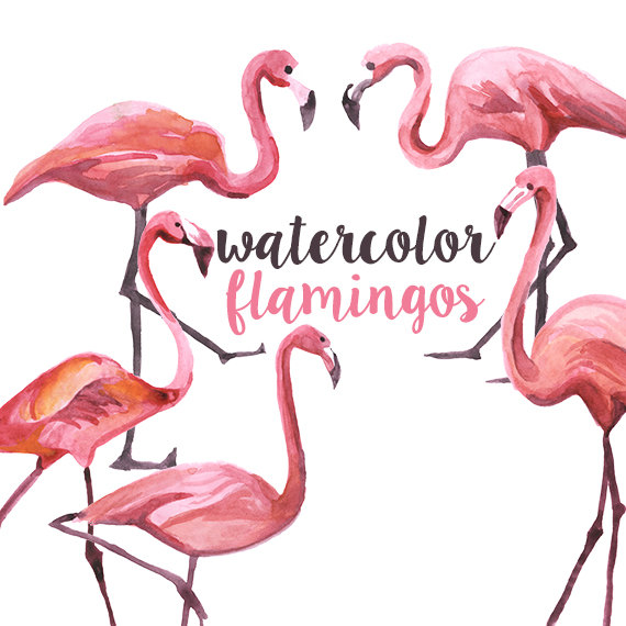 570x570 Watercolor Flamingo Clipart Mothers Day Flamingo