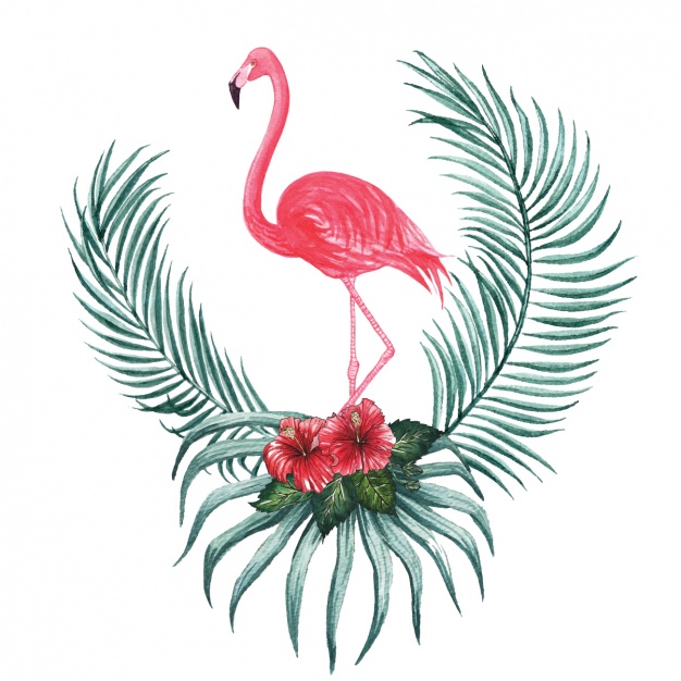 626x626 Flamingo Vectors, Photos And Psd Files Free Download