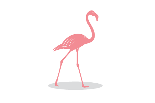 500x334 Oakland Zoo Flamingo Plaza