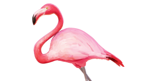 300x160 Flamingo Transparent Image Archives