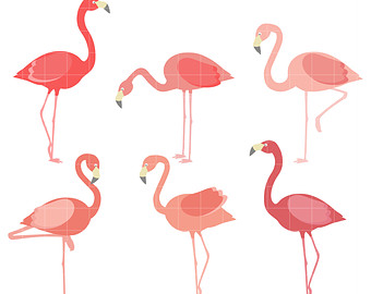 340x270 Flamingo Clip Art Etsy