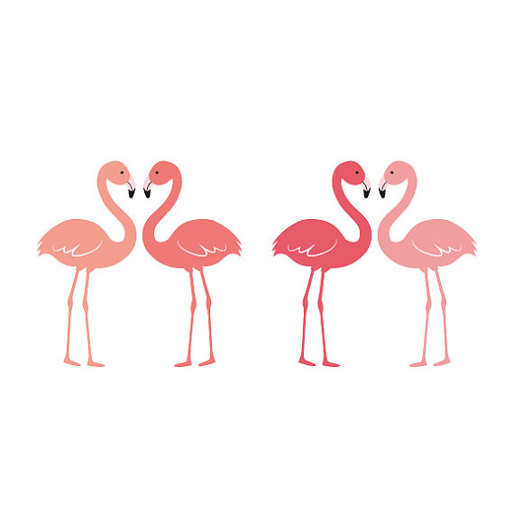570x570 Flamingos Clip Art, Graphic Design Elements Instant Download