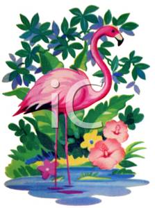 223x300 Picture A Flamingo In Water Near A Hibiscus Plant