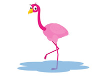 210x153 Search Results For Flamingo Bird