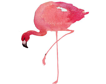 340x270 Watercolor Flamingo Etsy