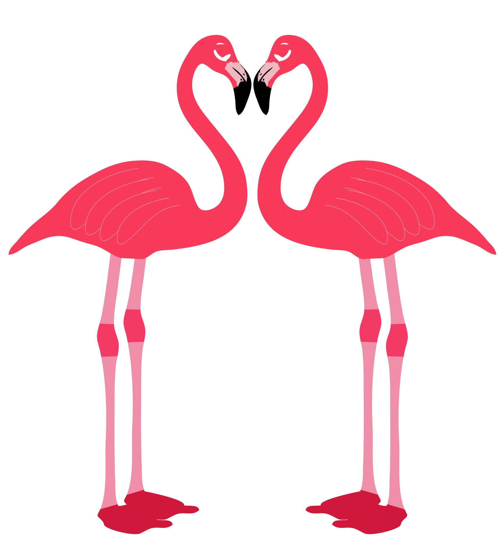 1728x1920 Flamingo Birds Love Heart Free Stock Photo