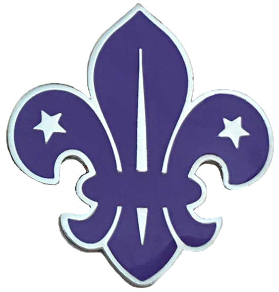 553x578 Scouts Fleur De Lis Pin Badge Plain