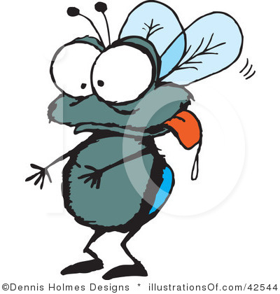 400x420 Fruit Fly Clip Art