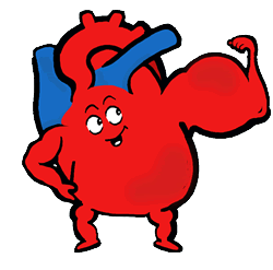 250x247 Full Version Of Heart Flexing Clipart