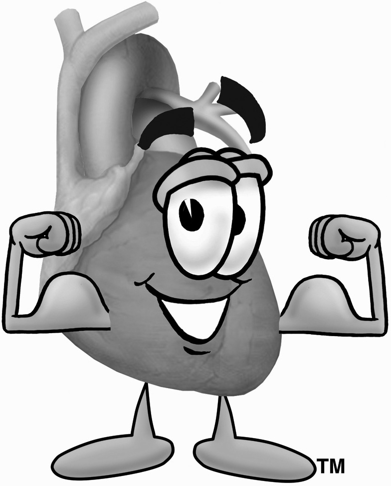 784x973 Heart Muscle Clipart