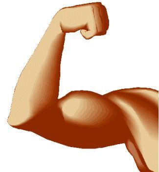325x352 Lovely Muscle Clip Art