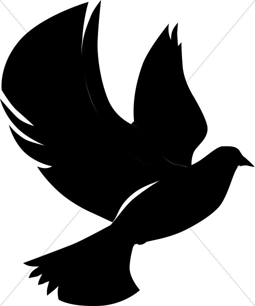 510x612 Dove Fly Clipart, Explore Pictures