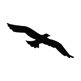 310x310 Flying Bird Transparent Clipart