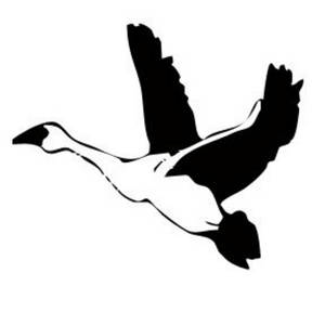 300x300 Flying Goose Black White Clipart