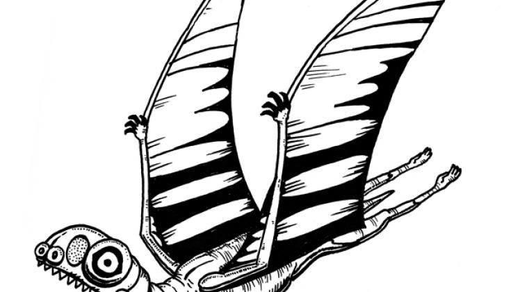 748x420 Vireo Clipart Flim