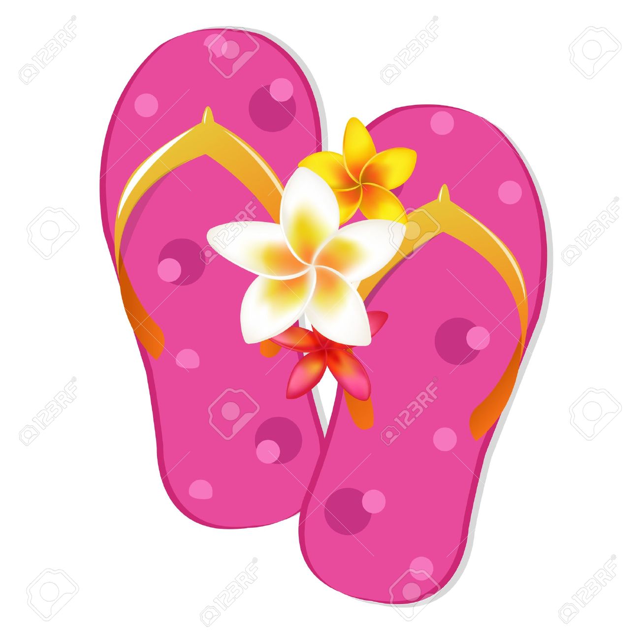1300x1300 Flip Flop Sandals With Plumeria Flowers, Isolated On White