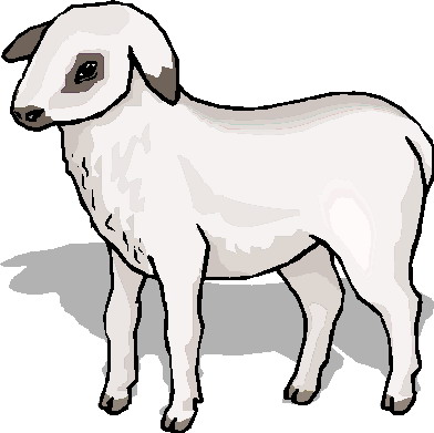 392x391 Top 59 Sheep Clip Art