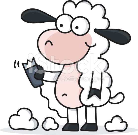 556x543 Stock Illustration 14810610 Cartoon Sheep Shearing Wool Production