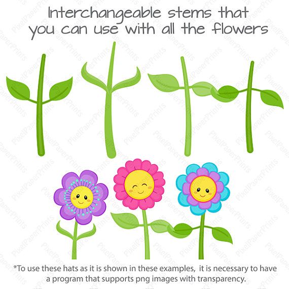 570x570 The Best Flower Clipart Ideas Free Flower