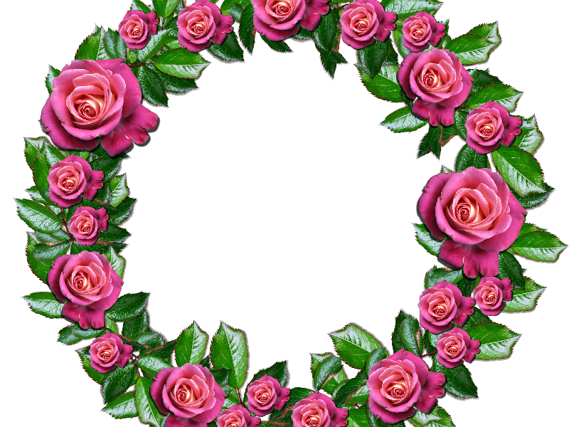 800x600 Floral Wreath Png With Pink Roses Leafs (Nature Grass
