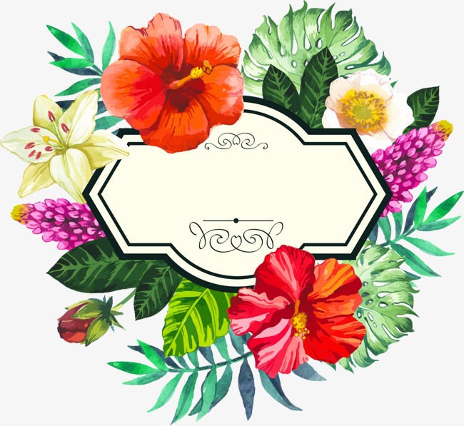 650x597 Hand Painted Watercolor Tropical Borders, Hand Drawn Border
