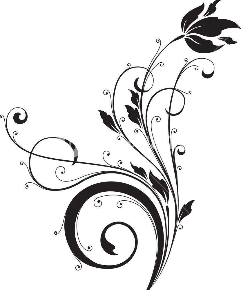 Floral Vector Clipart | Free download on ClipArtMag