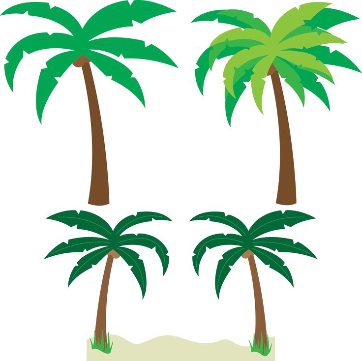 736x734 Best Palm Tree Clip Art Ideas Palm Tree Images