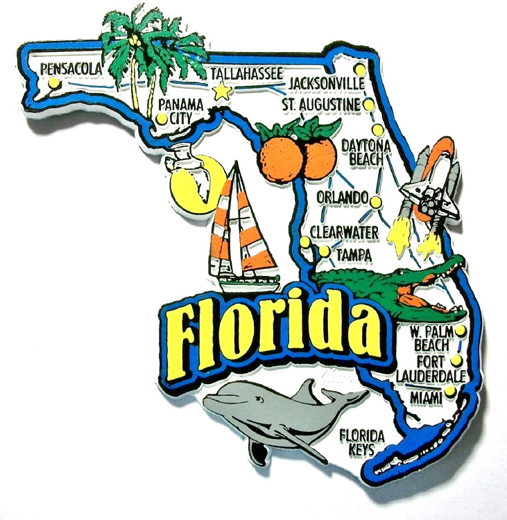 Florida Gator Cartoon | Free download on ClipArtMag