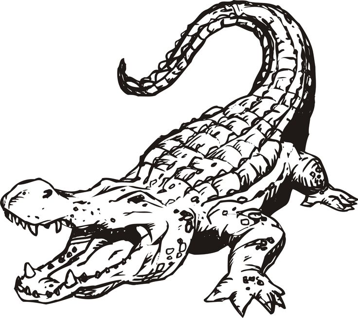736x652 Ferocious Clipart Crocodile