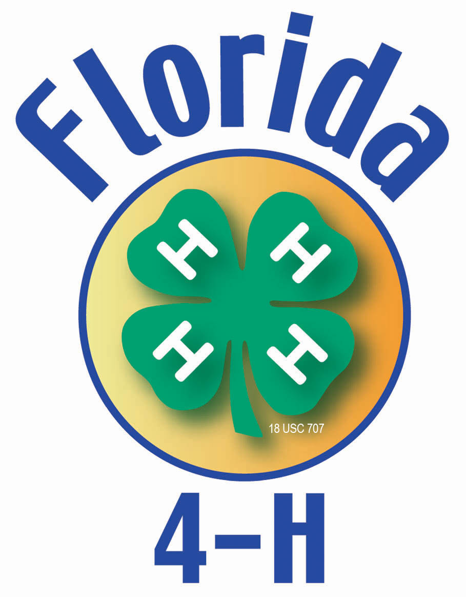 909x1164 Florida 4 H Art