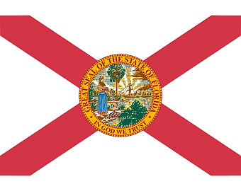 340x270 Florida Flag Art Etsy