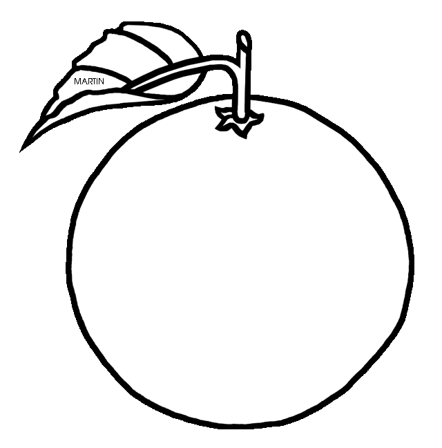 640x648 United States Clip Art By Phillip Martin, Florida State Fruit