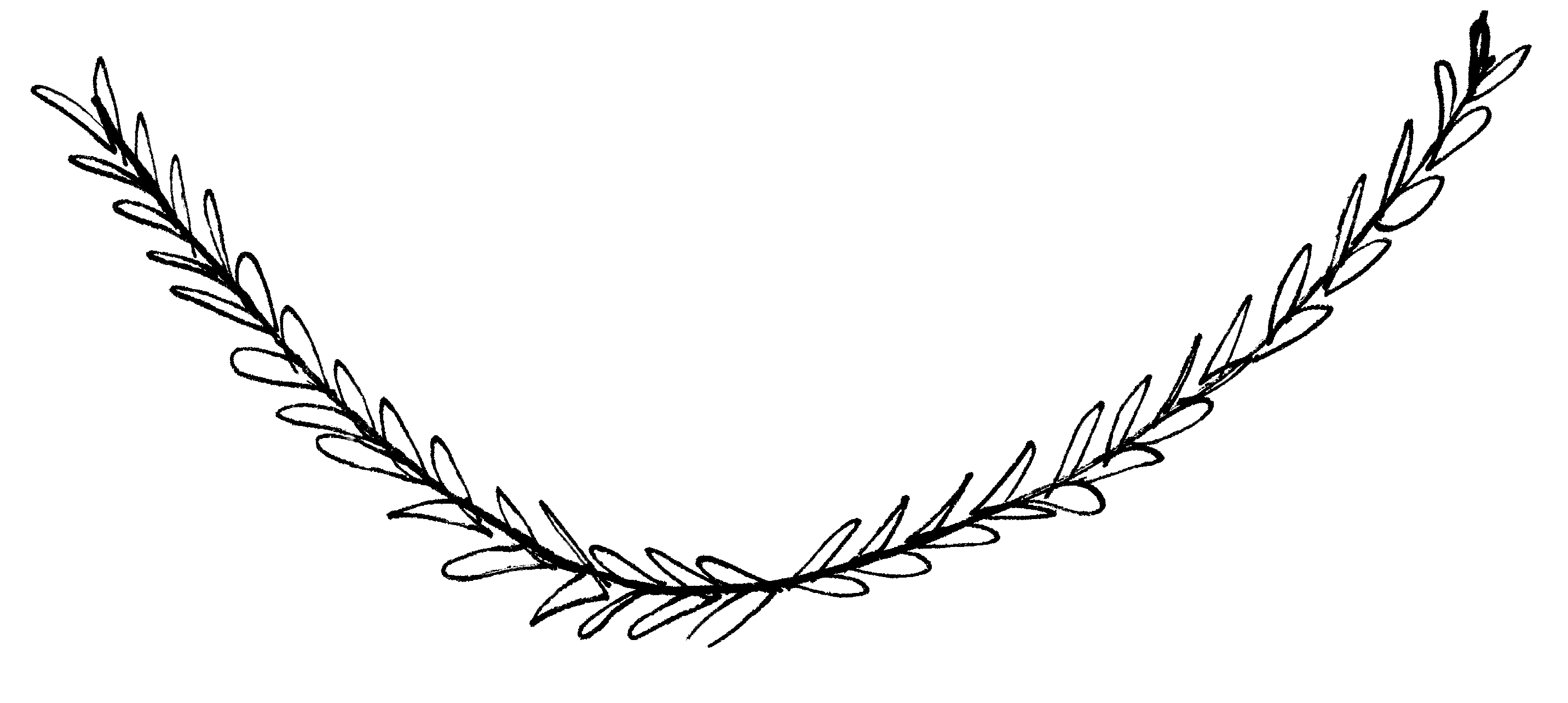 2864x1284 Flourish Clip Art Lace And Yarn