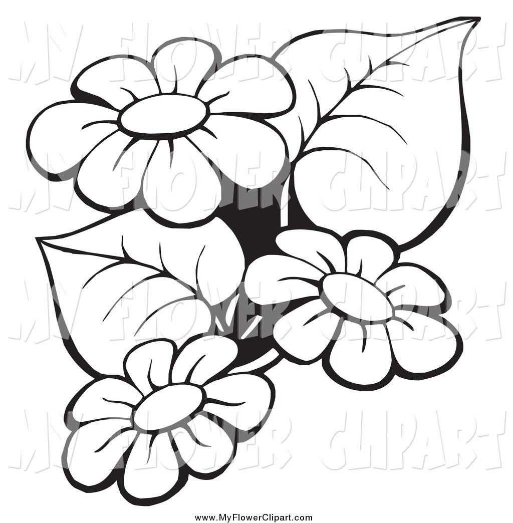 1024x1044 Black And White Pictures Of Flowers To Print Free Allofpicts