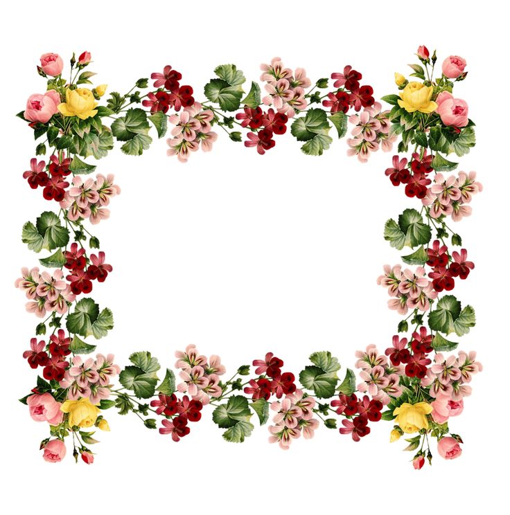 736x744 Free Floral Borders Frames Clipart